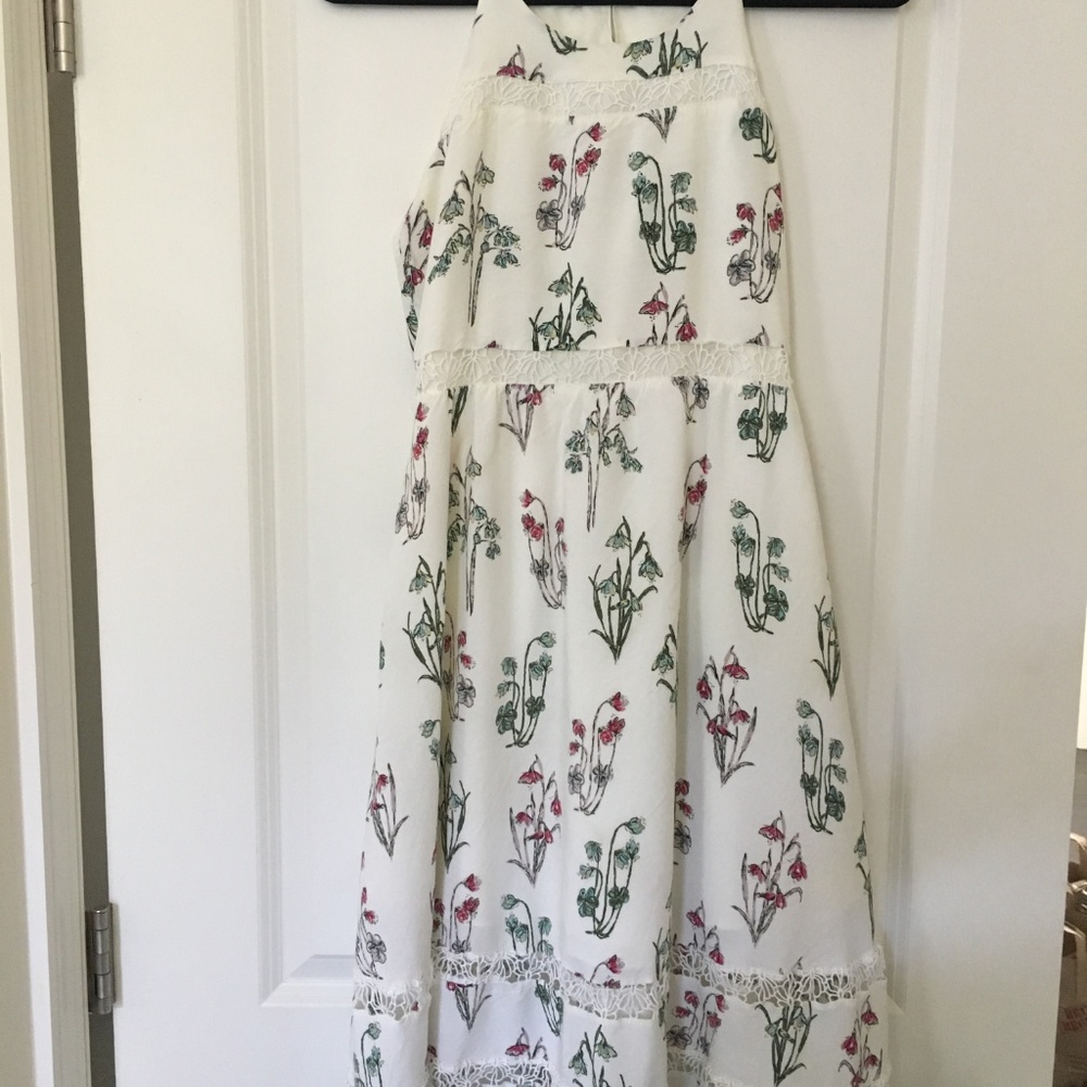 LC Disney's Alice In Wonderland Floral Tea Dress